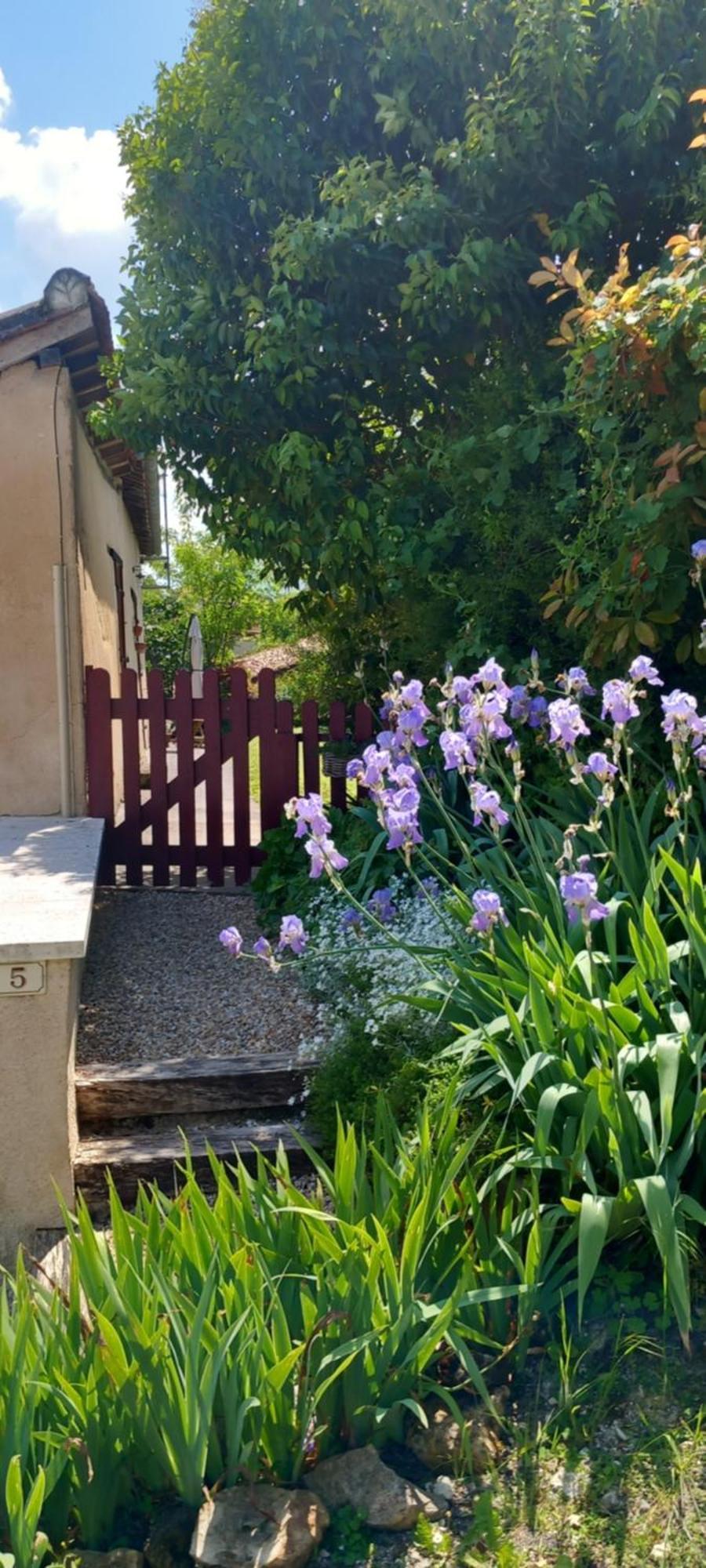 La Maison Du Tourniquet Aubeterre-sur-Dronne Eksteriør billede